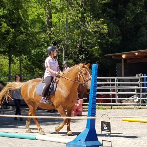 Alpadia Leysin Language Camp Premium+ Horse riding activity
