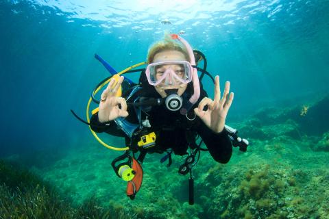 person doing scuba diving in the sea