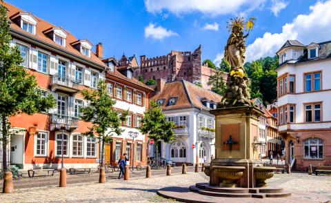 alpadia-heidelberg-activity