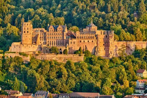alpadia-heidelberg-activity