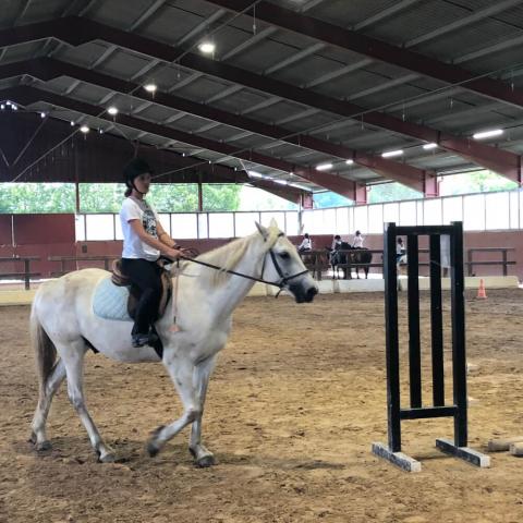 Alpadia Berlin-Werbellinseee Premium+ Horseriding activity