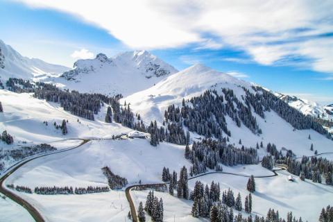 Enjoy trips to the Swiss Alps with Alpadia Zurich Language school