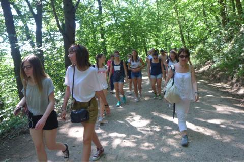 Hiking in the Black Forest, Freiburg