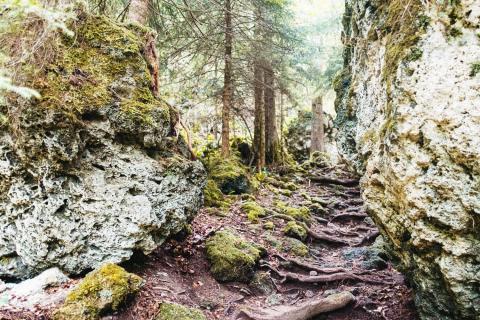 Hiking in Chauderon, Montreux