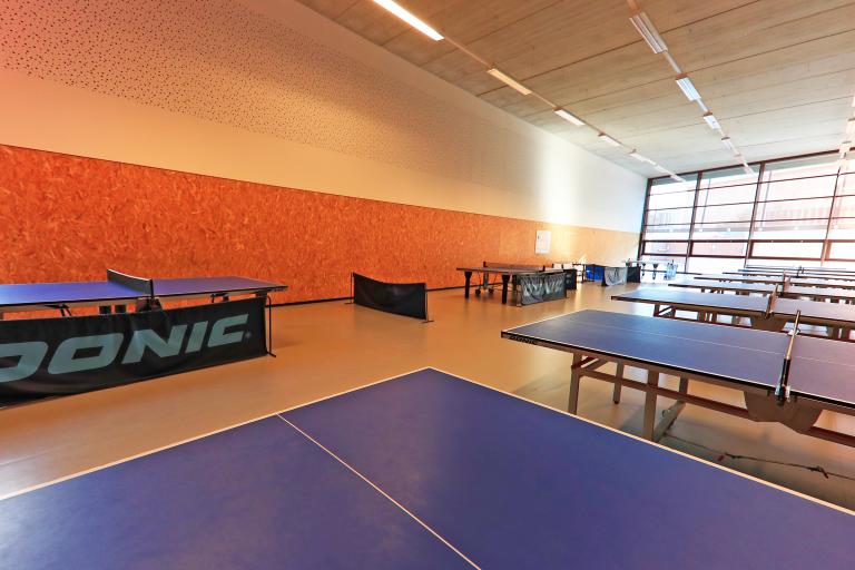 alpadia nice tennis table room